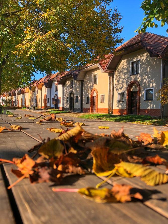 Cejkovsky Dvorek Cejkovice  Esterno foto